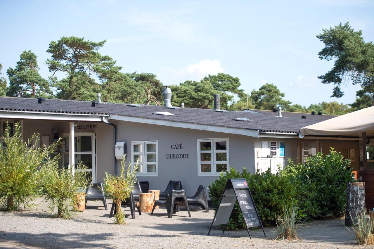 Dueodde Hostel Neksø Exteriör bild