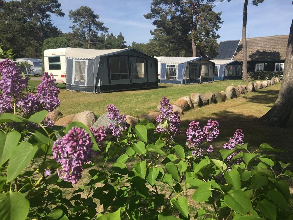 Dueodde Hostel Neksø Exteriör bild