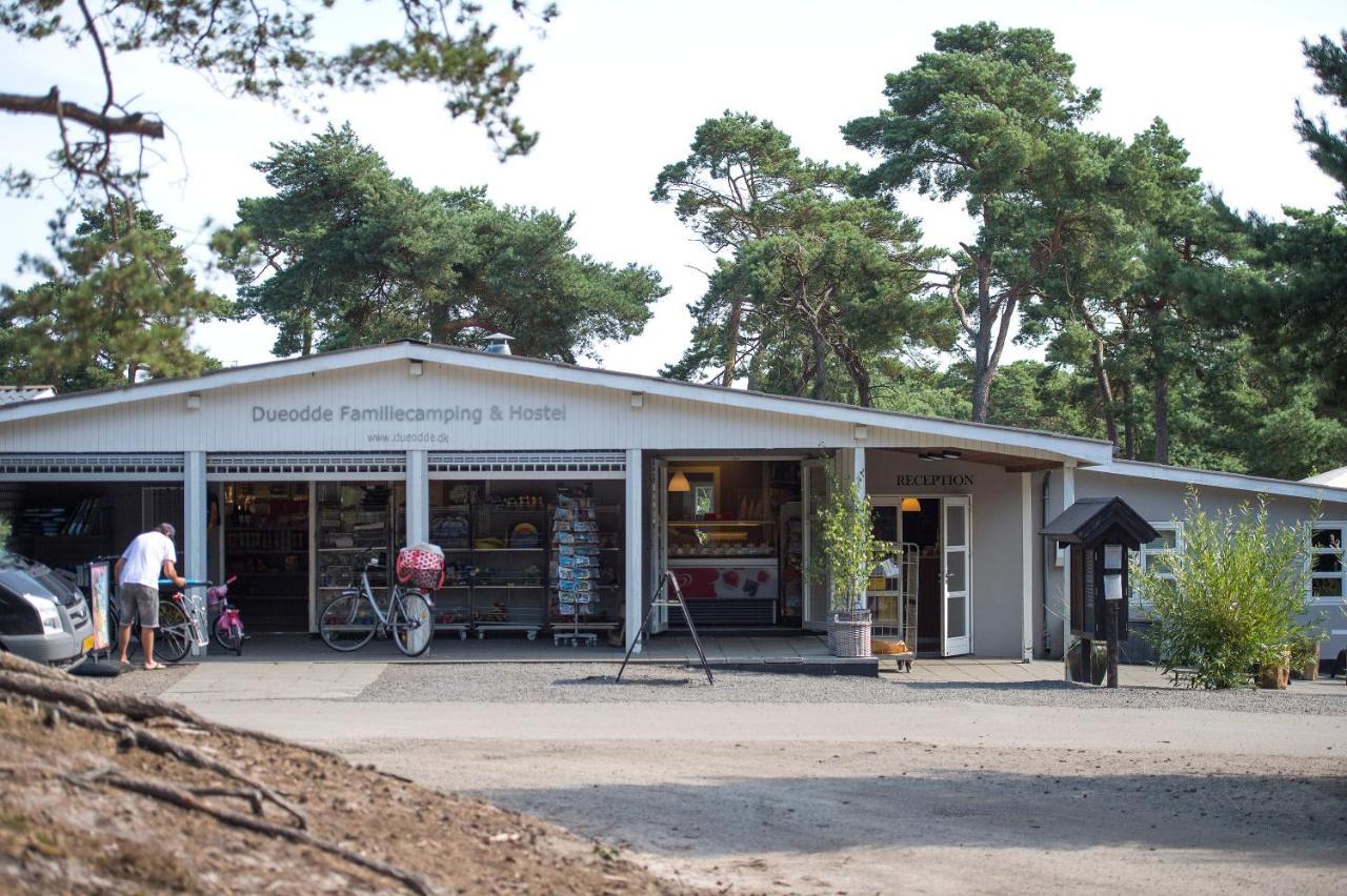 Dueodde Hostel Neksø Exteriör bild